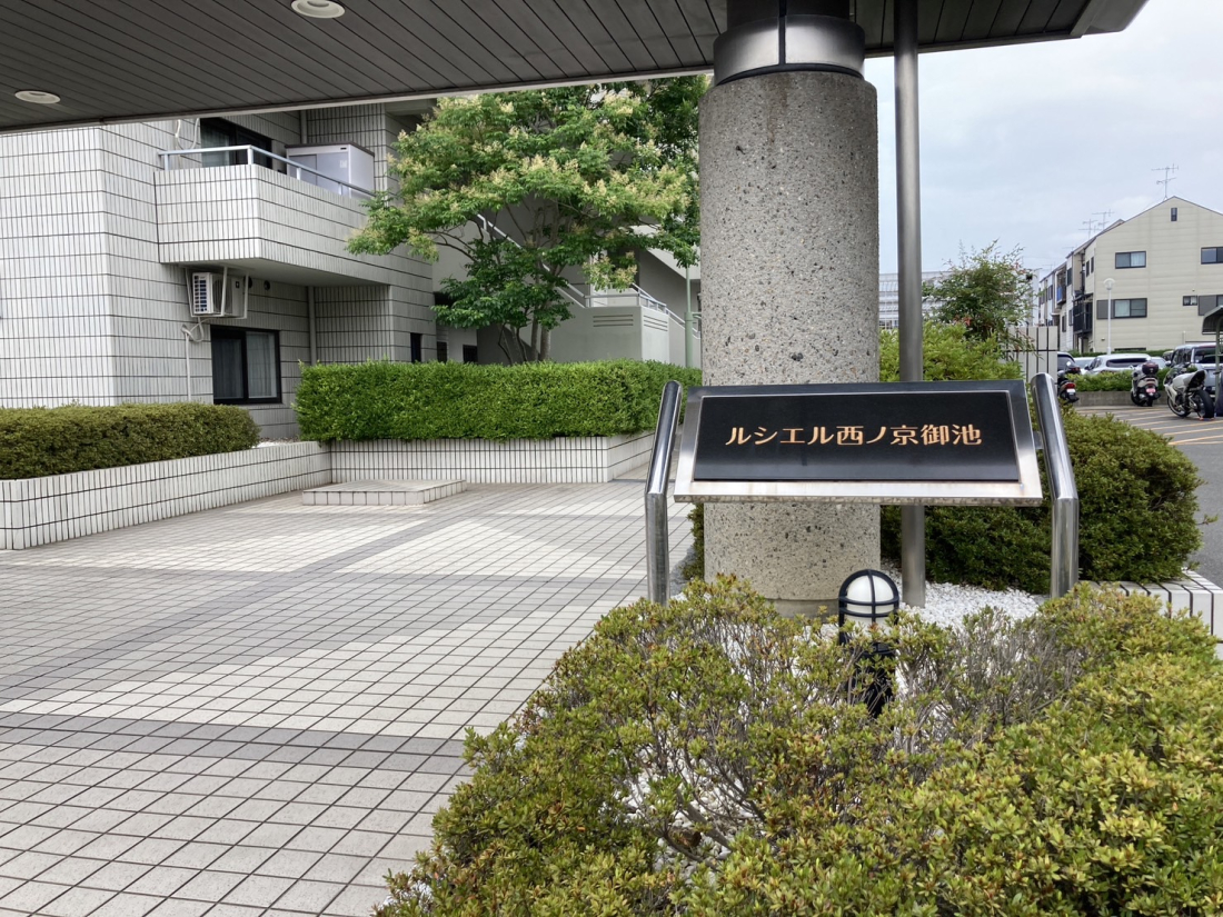 nOώʐ^ -
