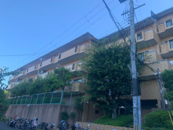 nOώʐ^ -